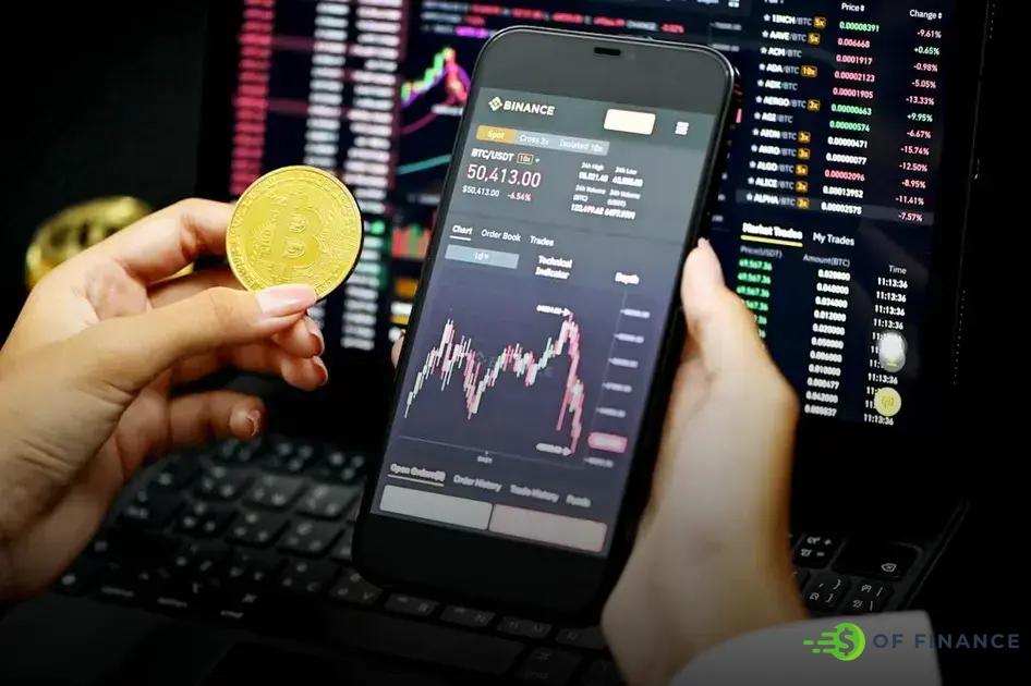Alternative National Digital Currencies