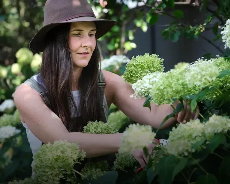 Choosing the Right Composting Method