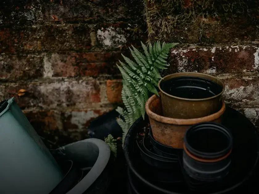 Common Mulching Mistakes to Avoid Common Mulching Mistakes to Avoid