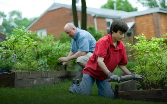 Creating a Pollinator-Friendly Garden for Bees & Butterflies