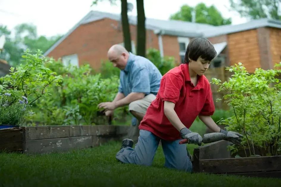 Creating a Pollinator-Friendly Garden for Bees & Butterflies