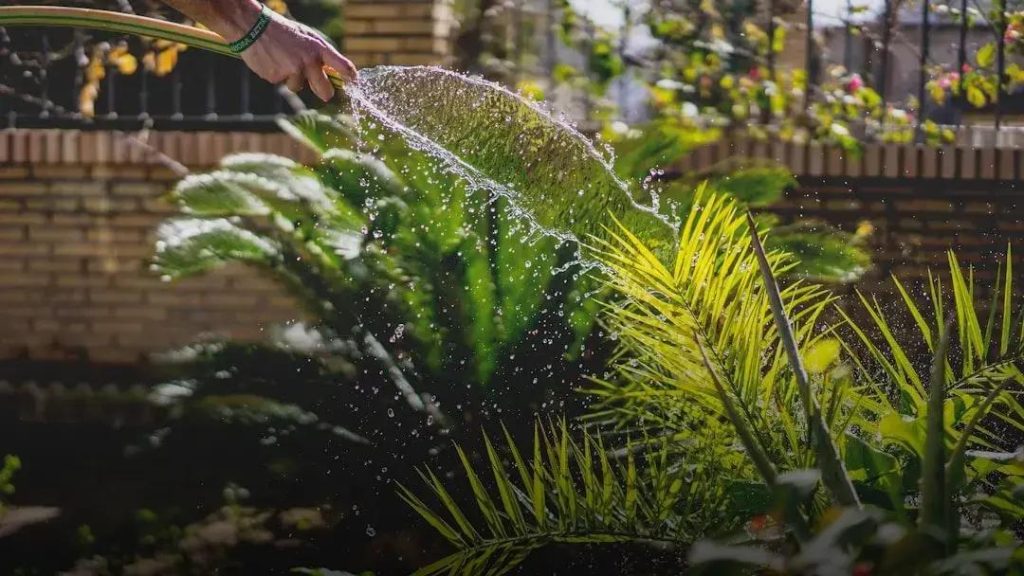 Organic Gardening: Growing Without Chemicals Easily