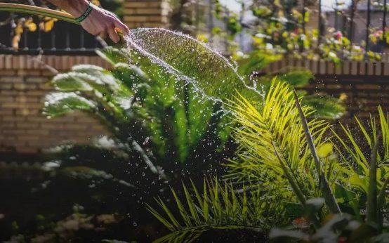 Organic Gardening: Growing Without Chemicals Easily