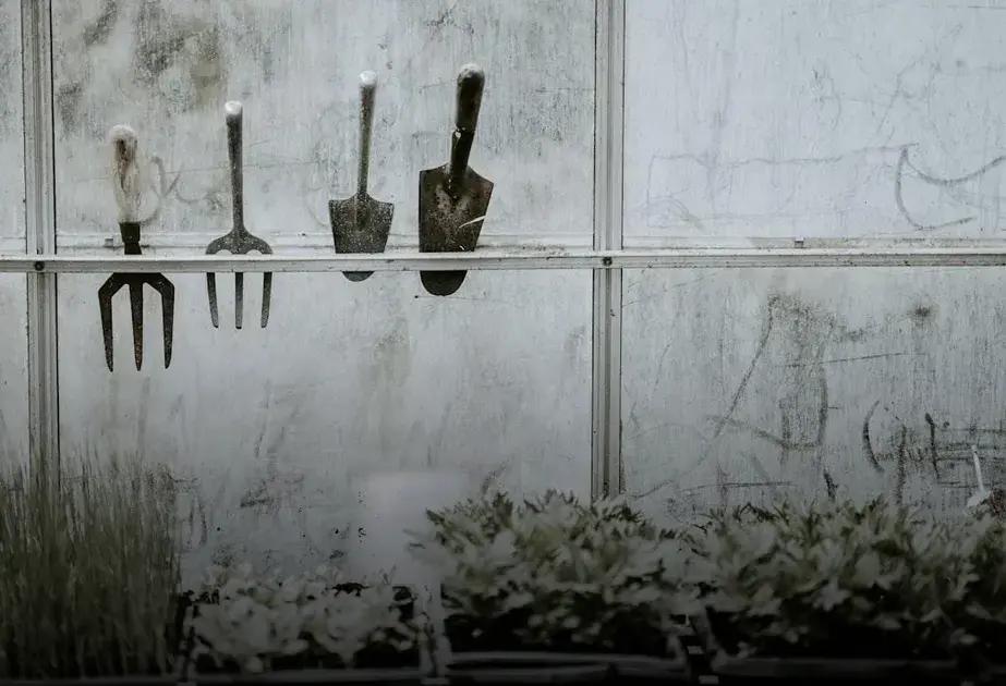 Providing Shelter and Water for Pollinators