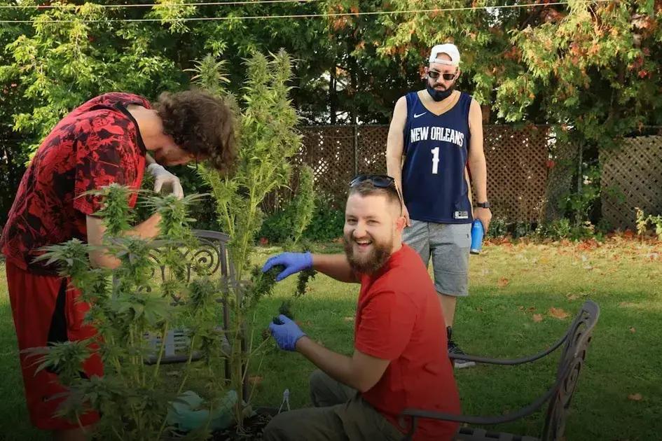 Tools You Need for Effective Pruning